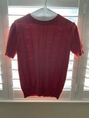 Rust Short-Sleeve Knit Blouse